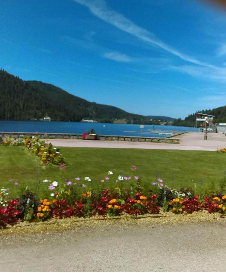 Ferienwohnung Le Montagnard Gérardmer Exterior foto