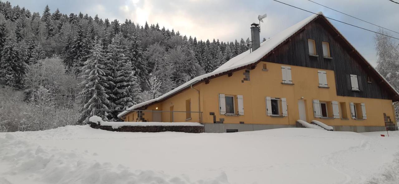 Ferienwohnung Le Montagnard Gérardmer Exterior foto
