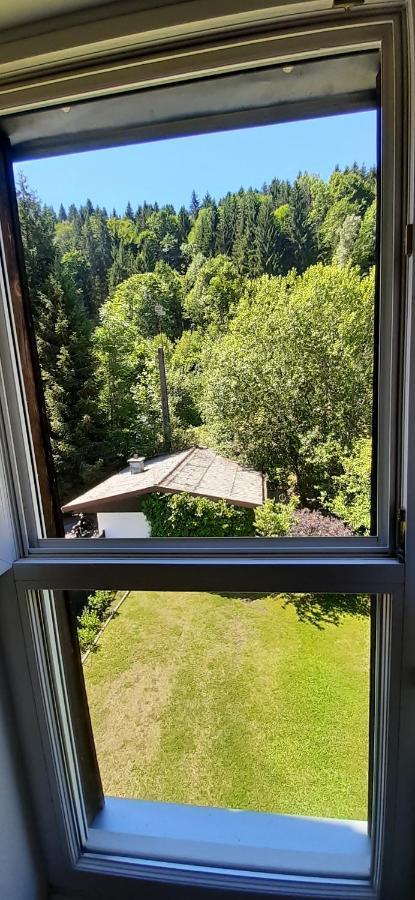 Ferienwohnung Le Montagnard Gérardmer Exterior foto