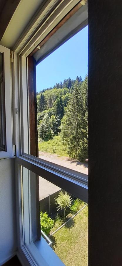 Ferienwohnung Le Montagnard Gérardmer Exterior foto